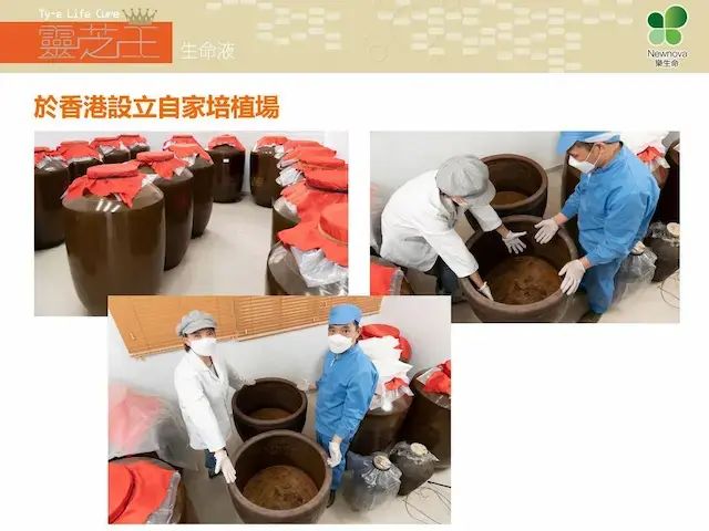 樂生命-太歲肉靈芝王生命液 100mL